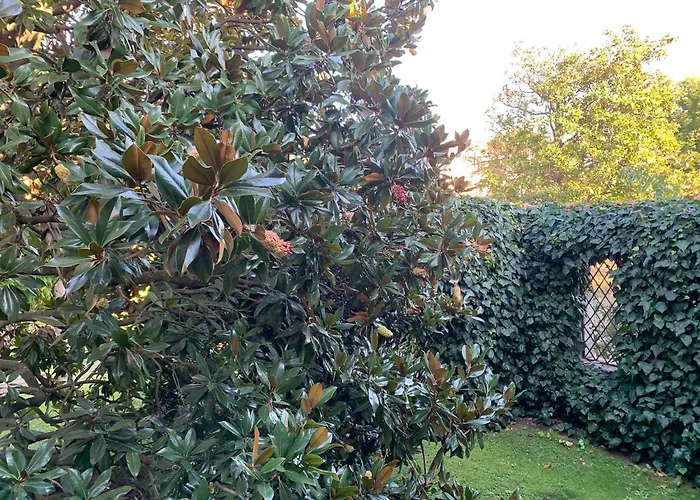 Corte Mosto Apartment Venice